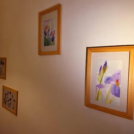 Renovated Garden-apartment, Next To Forest, On Mountain, Free Parking 아파트