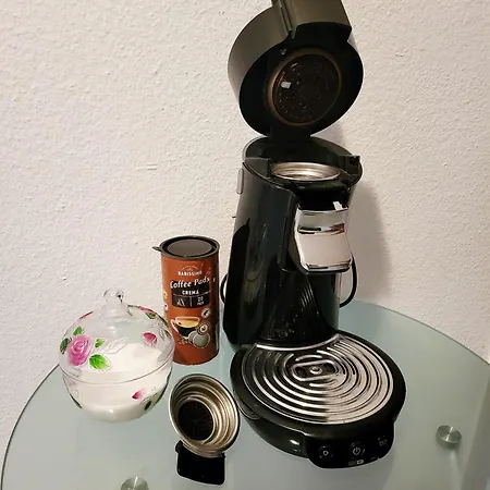 公寓 Currently Halfprice By Sometimes No Warm Water! Renovated Garden-apartment, Next To Forest, On The Mountain, Free Parking Schonach im Schwarzwald