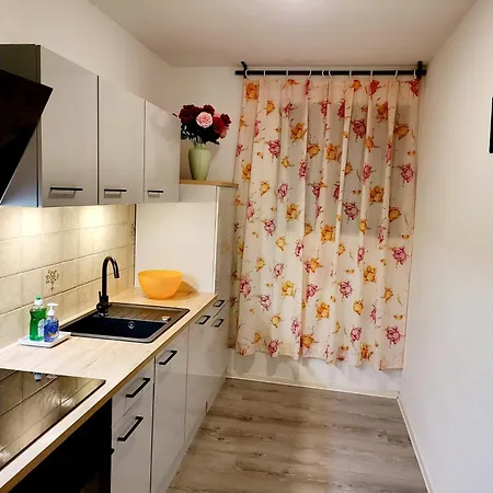 Renovated Garden-apartment, Next To Forest, On Mountain, Free Parking *