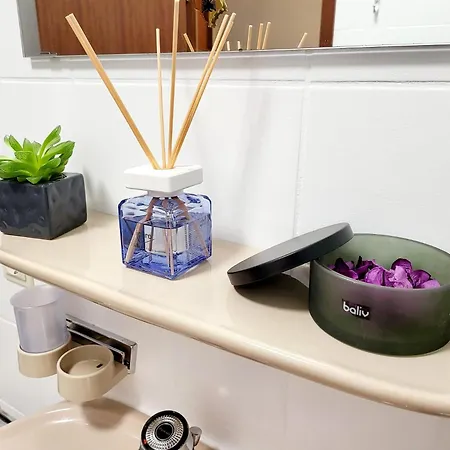 公寓 Currently Halfprice By Sometimes No Warm Water! Renovated Garden-apartment, Next To Forest, On The Mountain, Free Parking