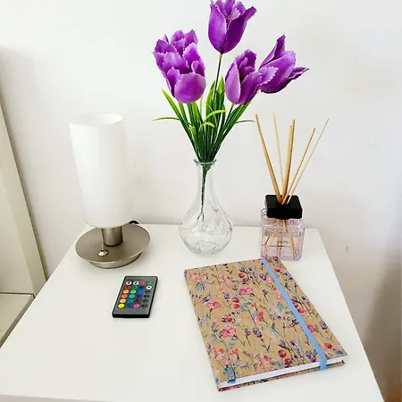 Currently Halfprice By Sometimes No Warm Water! Renovated Garden-apartment, Next To Forest, On The Mountain, Free Parking 公寓 Schonach im Schwarzwald