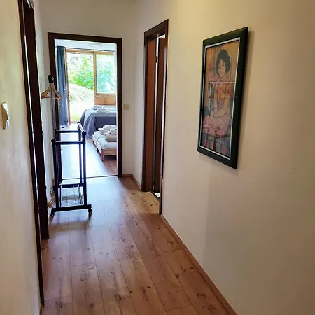 Renovated Garden-apartment, Next To Forest, On Mountain, Free Parking