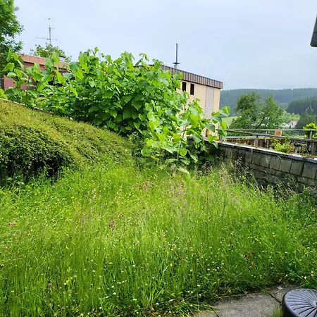 Renovated Garden-apartment, Next To Forest, On Mountain, Free Parking 아파트