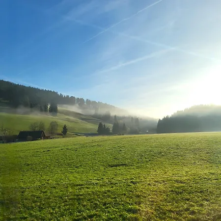 Garden-apartment, Mountain View, Renovated, Free Parking, Next To Forest * Schonach im Schwarzwald
