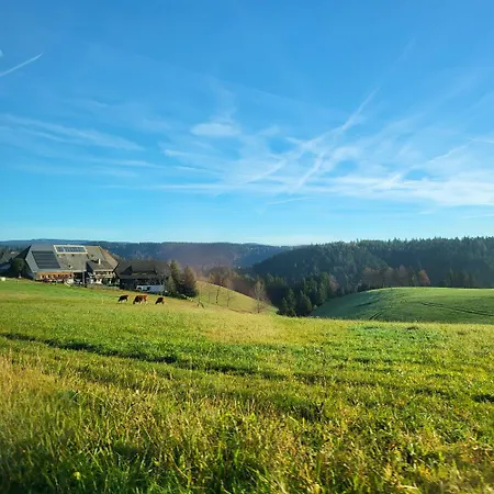 Currently Halfprice By Sometimes No Warm Water! Renovated Garden-apartment, Next To Forest, On The Mountain, Free Parking 公寓 Schonach im Schwarzwald