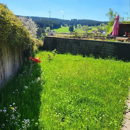 Renovated Garden-apartment, Next To Forest, On Mountain, Free Parking شقة