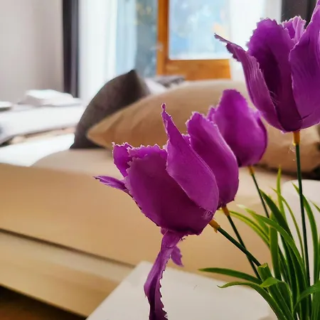 Renovated Garden-apartment, Next To Forest, On Mountain, Free Parking * سخوناخ